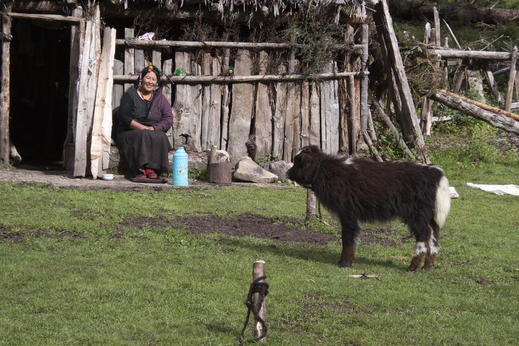 Semi-nomade, Tashi Thang, Pays de Kham, ancien Grand Tibet [Chine] - 2014