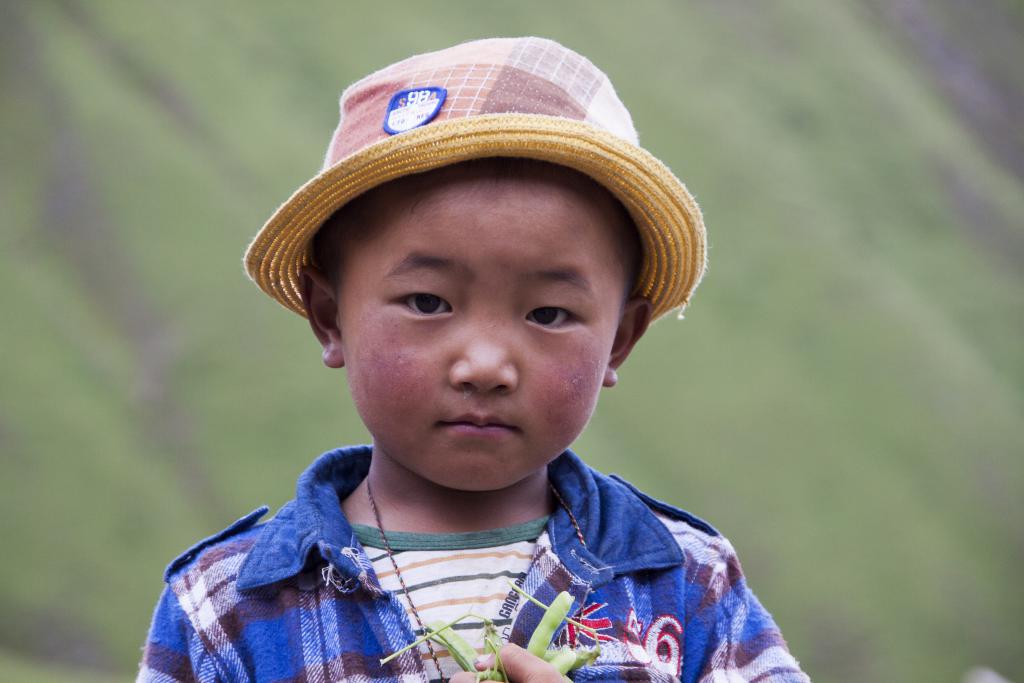 Dzongsar, Pays de Kham, ancien Grand Tibet [Chine] - 2014