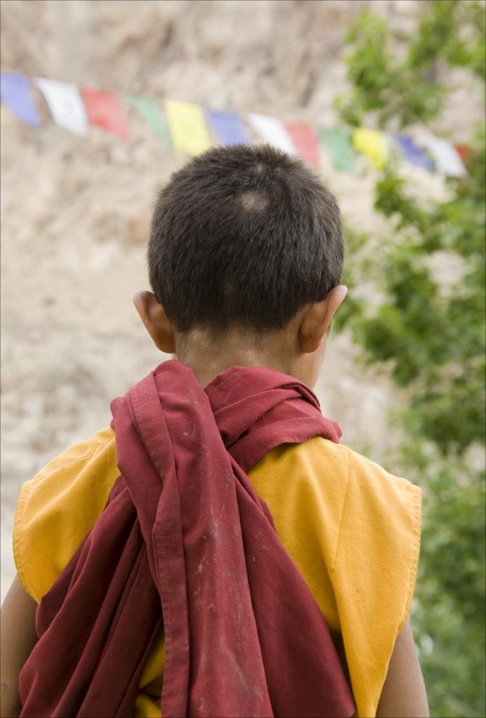 Petit moine, Zanskar [Inde] - 2010