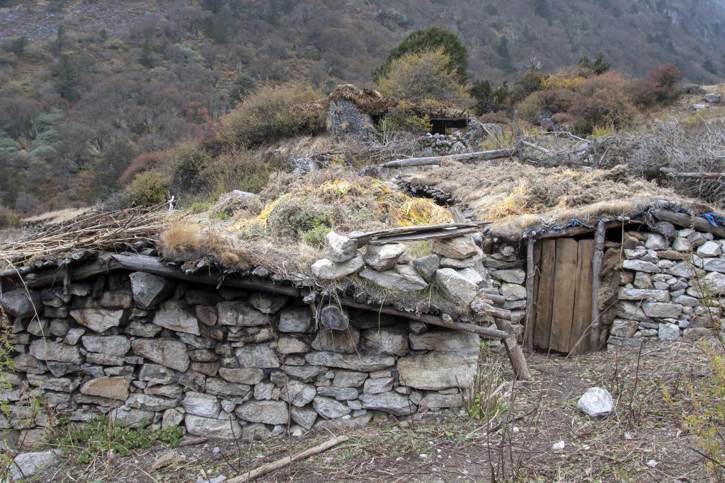 Abri de semi-nomades, district de Gasa [Bhoutan] - 2018