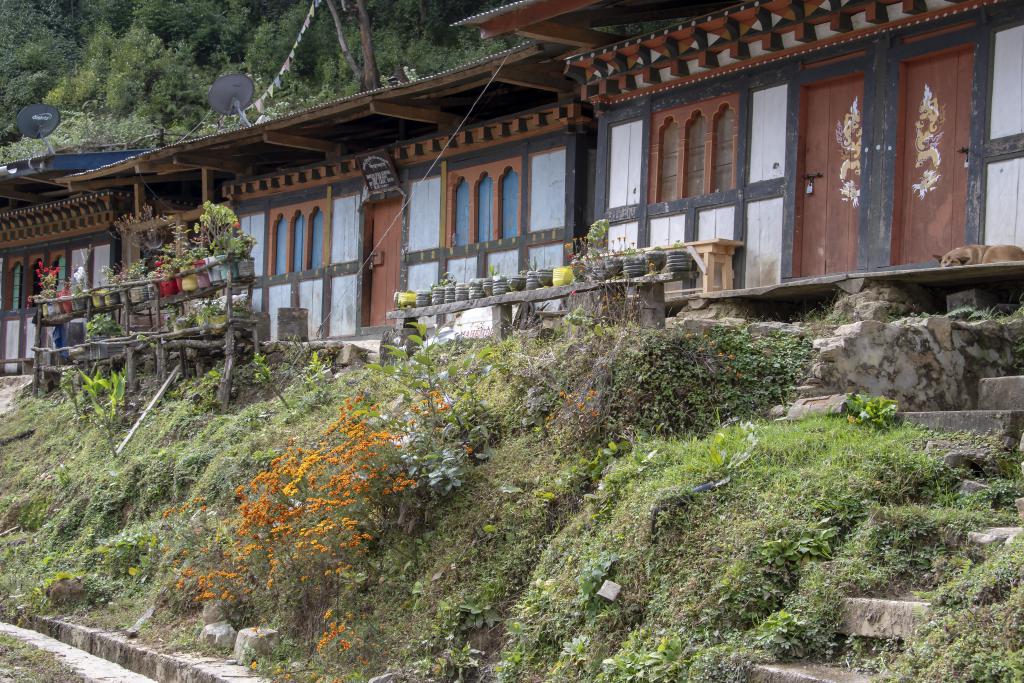 Village de Damji, [Bhoutan] - 2018