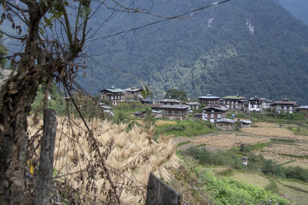 Près du village de Damji, [Bhoutan] - 2018