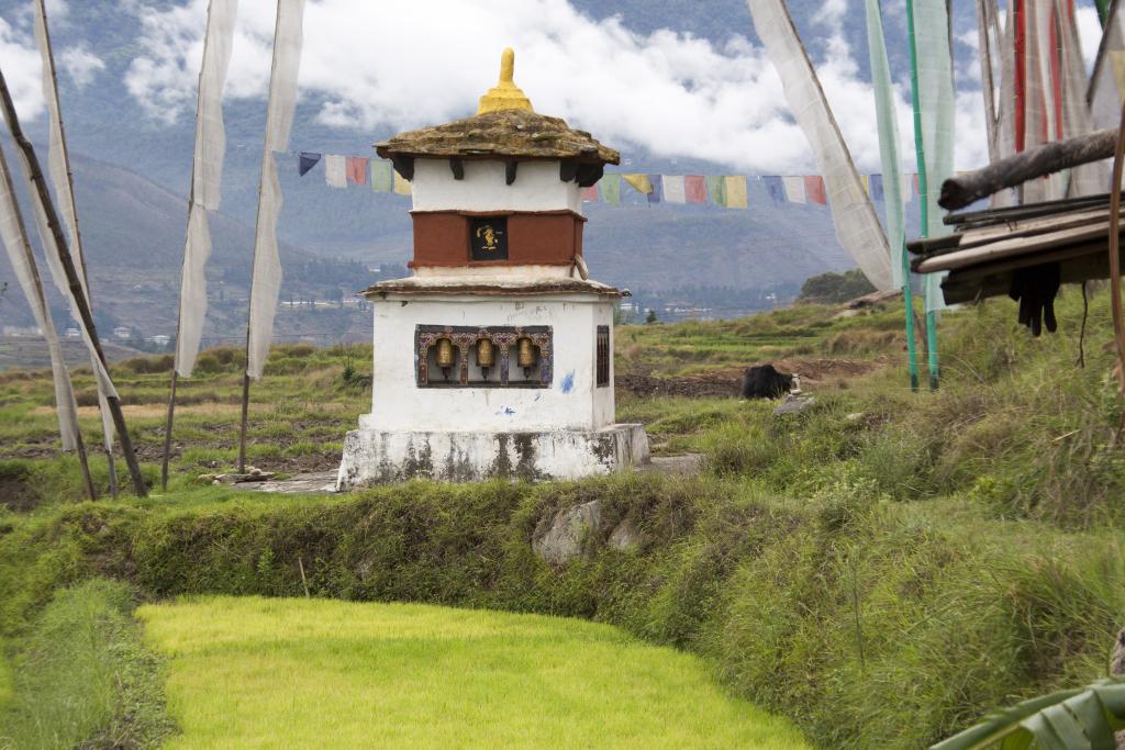 Vers le Chhimi Lhakang, monastère du Fou divin, vallée de Punakha [Bhoutan] - 2017