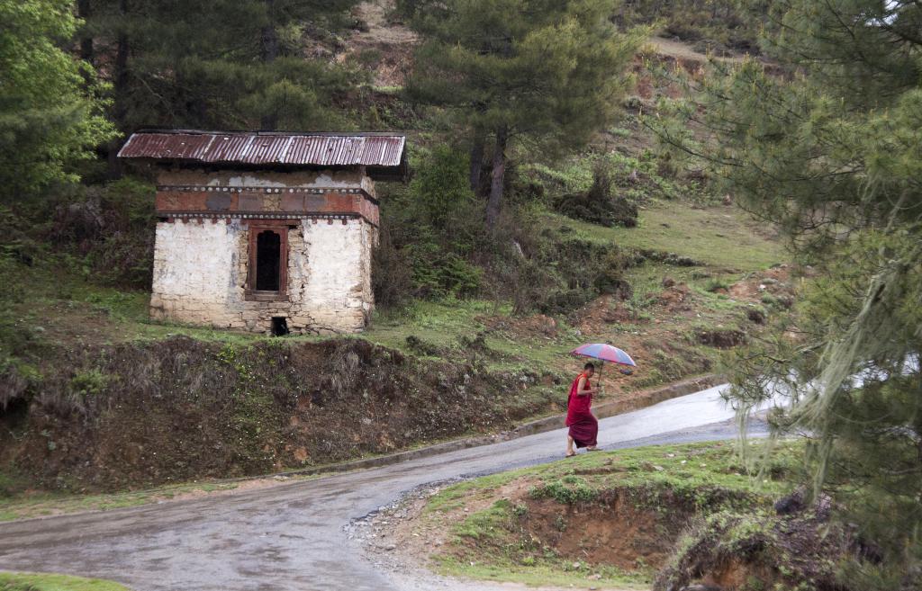 Gangtey, vallée de Phobjika [Bhoutan] - 2017