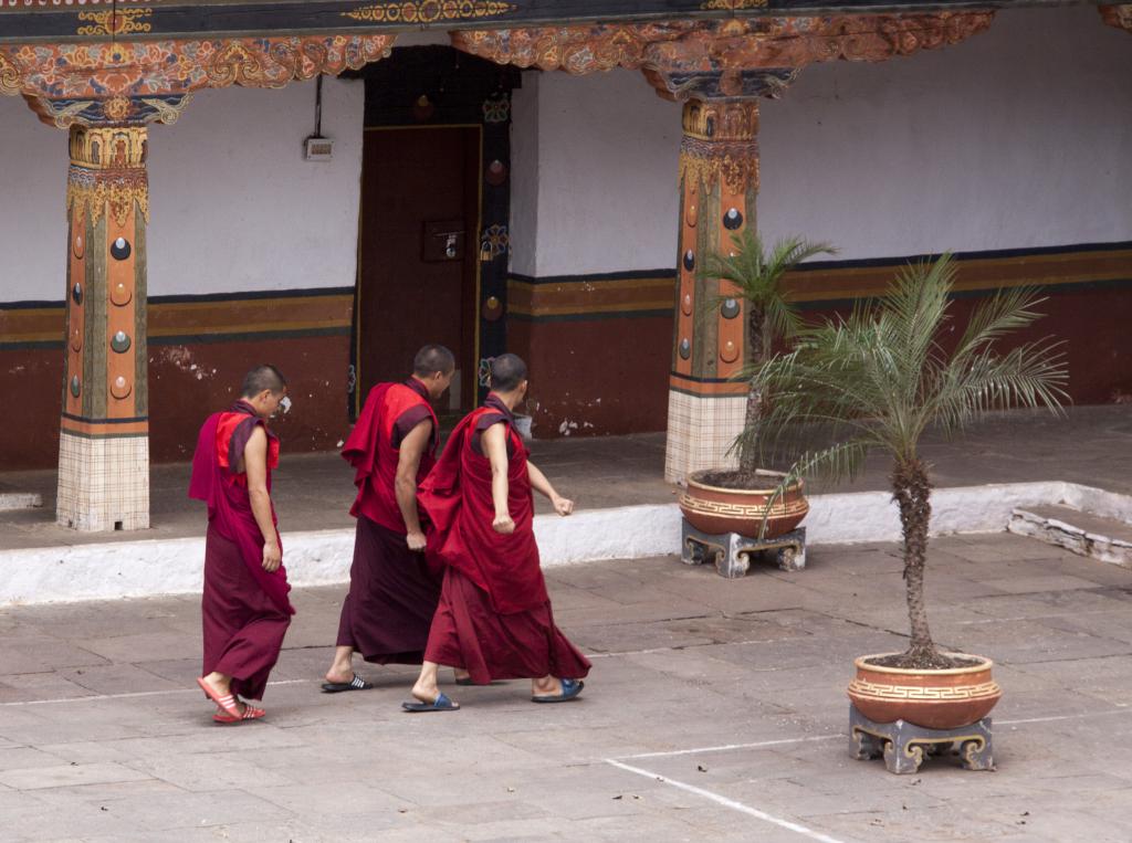 Dzong de Punakha [Bhoutan] - 2017