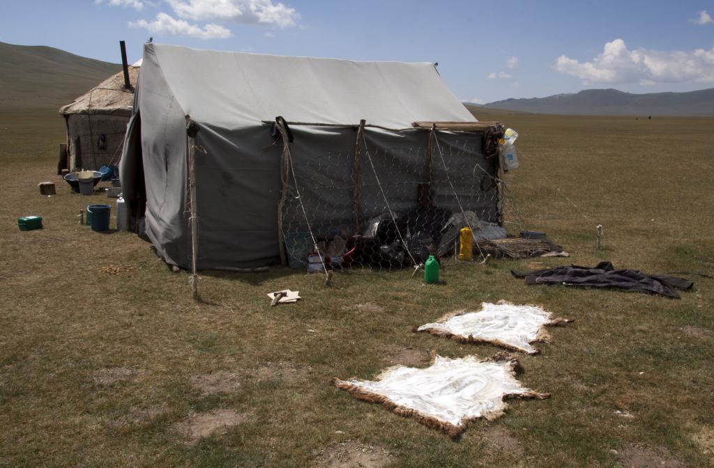 Séchage des peaux [Son Kul, Kirghistan]
