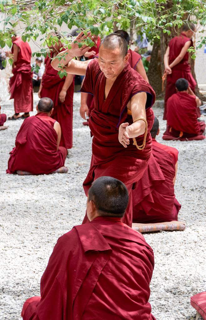 Joutes oratoires au monastère de Sera [Tibet] - 2019