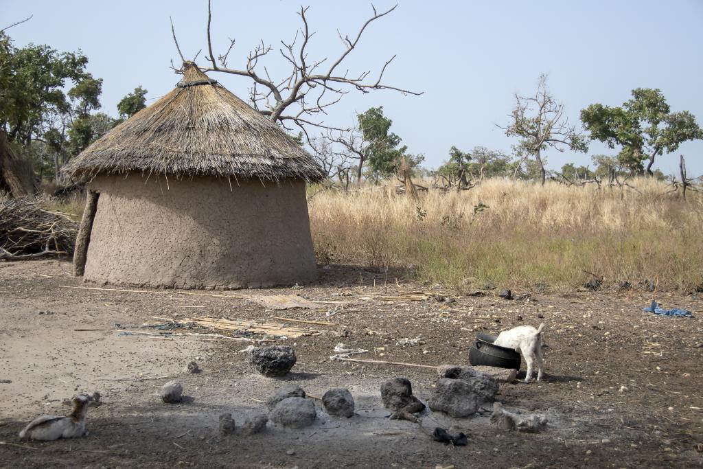 Village peul, près de Tanguieta [Bénin] - 2018